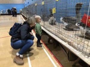 Mother and child looking at huge geese at a show