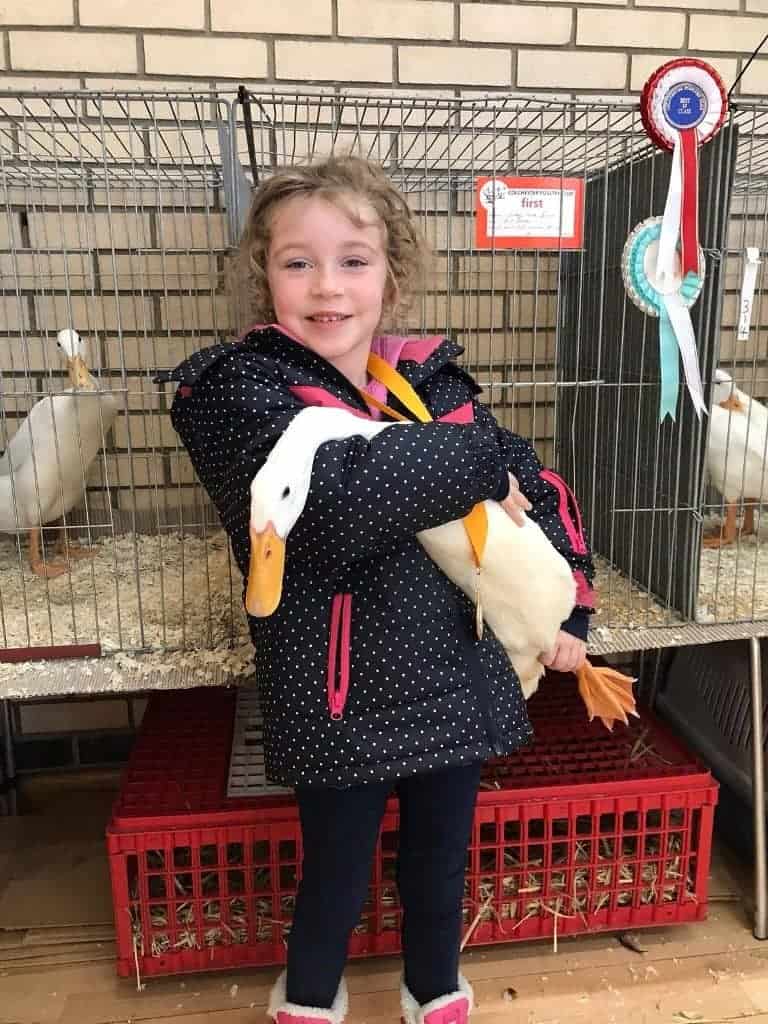 Young exhibitor Tilly is rightly proud of her birds
