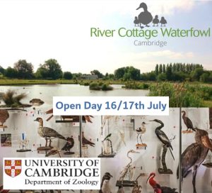 BWA Open Day 16th - 17th July 2022