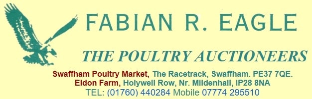 THE POULTRY AUCTIONEERS