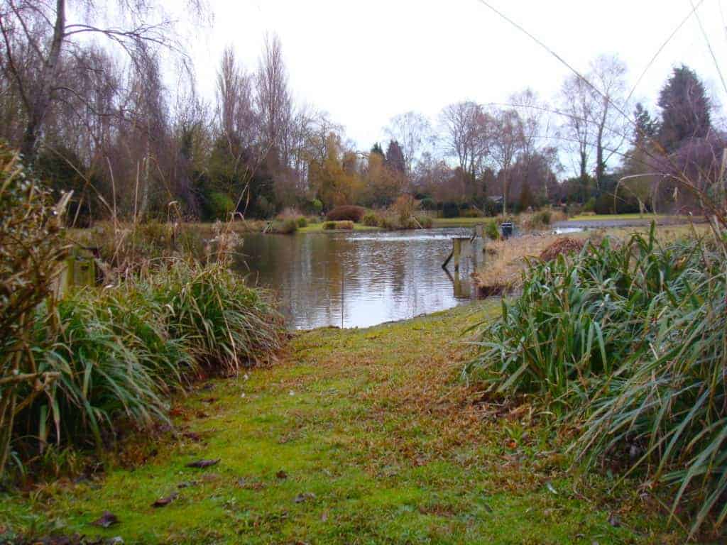 large garden pond