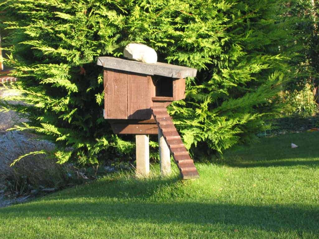 Nest box with backdrop