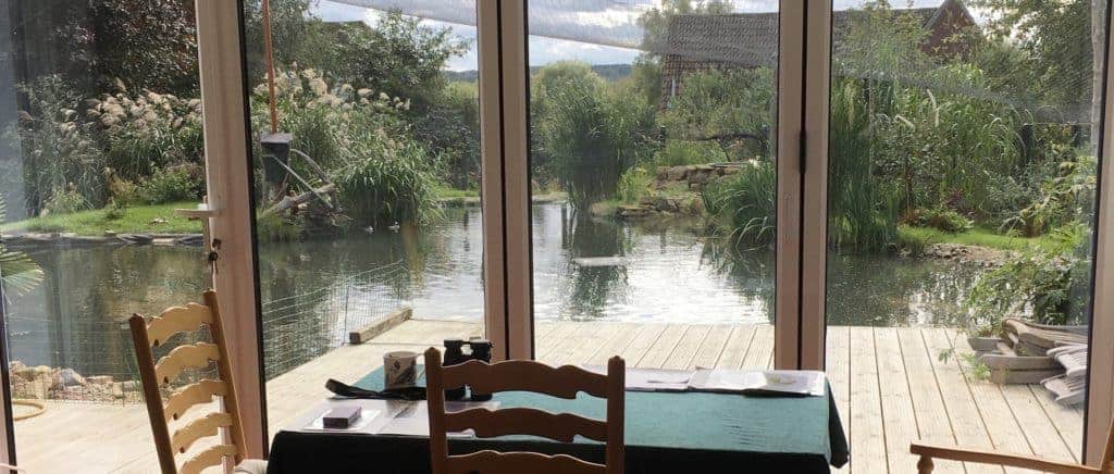 pond seen through a window