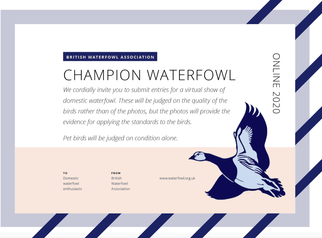 Champion Waterfowl Online 2020