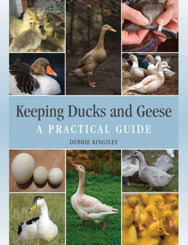 Keeping Ducks and Geese bookjacket