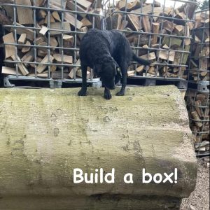 Build a box!